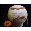 Image 1 : Sammy Sosa Autographed Baseball.  Rawlings Official ALB.  Appraised or estimated retail value $250. 
