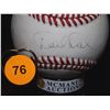 Image 1 : Derek Jeter Autographed Baseball.  Rawlings Official Babe Ruth Little League Baseball.  Appraised or
