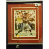 Image 1 : Steve Young Autographed Photo.  8x10 Framed Color Photo.  Appraised or estimated retail value $400. 