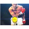Image 2 : Muhammad Ali Autographed Boxing Gloves.  Boxed pair of Autographed Everlast Gloves. Signature on che