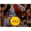 Image 2 : Stan Musial Autographed Shadowbox Display.  31x23x5 including hat, ball and two photos (All Autograp