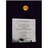 Image 16 : Mantle & Dimaggio Autographed Display.  35x35 Framed Display - 2 Photos autographed by Joe DiMaggio,