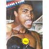Image 3 : Norton and Ali Autographed Photo. Framed and Matted Display with Photo Signed by Muhammad Ali and Ke