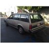 Image 3 : 1984 OLDSMOBILE FIRENZA