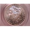 Image 1 : 1904-O Morgan Dollar Ch MS64 PCGS