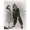 Image 1 : Wizard of Oz: Ray Bolger
