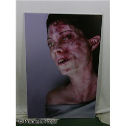 Exorcism of Emily Rose Diagrams & Posters