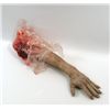Image 1 : Underworld: Rise of the Lycans Prosthetic Bloody  Arm Prop