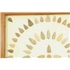 Image 2 : 73 Framed Arrow Heads
