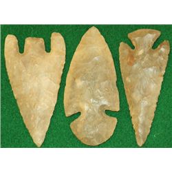 3 Arrow Heads in Case