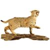 Image 1 : Bob Cat Mount