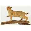 Image 2 : Bob Cat Mount