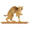 Image 1 : Bob Cat Mount