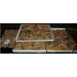 Collection of Pre-Columbian Pottery Shards