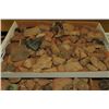 Image 2 : Collection of Pre-Columbian Pottery Shards
