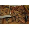 Image 4 : Collection of Pre-Columbian Pottery Shards