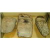 Image 1 : 3 Grooved Axe Heads