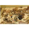 Image 3 : Large Collection Of Arrowheads