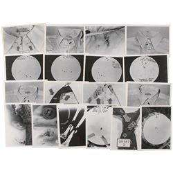 Kennedy Assassination