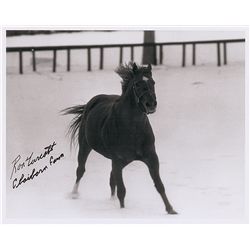 Horse Racing: Ron Turcotte