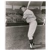 Image 1 : Mickey Mantle