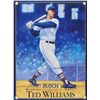 Image 1 : Ted Williams