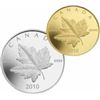 Image 1 : RCM Lot;  includes 2010 Gold/Silver - Piedfort Set of 1/5oz GML & 10z SML.   Comes in original packa