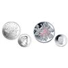 Image 1 : RCM Lot;  includes 2011 $10 Silver Coin - Maple Leaf Forever & 2006 Pink Ribbon Pure Silver $5 dolla