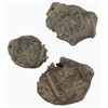 Image 1 : Ancient Roman Set of 3 Lead Seals with designs still visible.