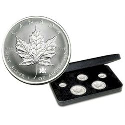 RCM Lot;  includes 2004 Silver Maple Leaf Privy 5-coin Set in original case.  (TAX Exempt)