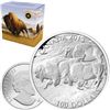 Image 1 : RCM Lot; $100 for $100 2013 Bison & Grizzly Bear.  Lot of 2 pcs.