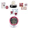 Image 1 : RCM Lot; includes Montreal Canadiens Issues 2009 Special Edition Proof Silver Dollar - 100th Anniver