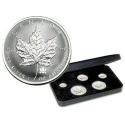 RCM Lot;  includes 2004 Silver Maple Leaf Privy Mark Set.  In original packaginr.  Tax Exempt.
