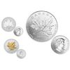 Image 1 : RCM Lot;  includes 2011 $10 - Maple Leaf Forever, 1988-2008 $5 1oz. Silver Maple Leaf Coin 20th Anni