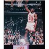 Image 2 : MICHAEL JORDAN HAND SIGNED COLOR PHOTOGRAPH