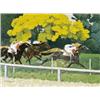 Image 1 : LES JOCKEYS EURO 4.000 - 5.000 LOUIS-FERDINAND MALESPINA 1874- Franse School Doek - Sig....