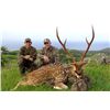 Image 1 : 2-day Hawaii Free-Range Trophy Axis Deer & Feral Goat Combo Package for One Hunter and One Observer