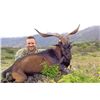 Image 2 : 2-day Hawaii Free-Range Trophy Axis Deer & Feral Goat Combo Package for One Hunter and One Observer
