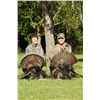 Image 1 : 3-day Rio Grande Turkey Hunt in Oregon for Two Hunters