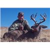 Image 2 : 5-day Mexico Coues Deer Hunt for One Hunter
