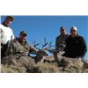 Image 3 : 5-day Mexico Coues Deer Hunt for One Hunter