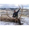 Image 1 : 5-day Montana Rocky Mountain Elk and Deer Hunt for One Hunter