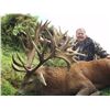 Image 1 : 5-day New Zealand Red Stag and Fallow Deer Hunt for Two Hunters
