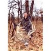Image 1 : 5-day Kansas Free-range Midwestern White-Tailed Deer Hunt for One Hunter