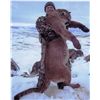 Image 1 : 5-day Nevada Mountain Lion Hunt for One Hunter