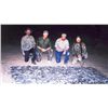 Image 1 : 3-day Mexico Dove Hunt for Two Hunters and Two Observers