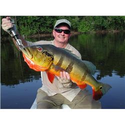 7-day Amazon Peacock Bass Adventure for One Angler