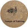 Image 1 : 50 Million Year Old Fossil Fish Table