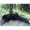 Image 1 : 5-day British Columbia Black Bear Hunt for One Hunter