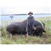 Image 1 : 7-day Argentina Big Game Hunt and Bird Hunt for Four Hunters